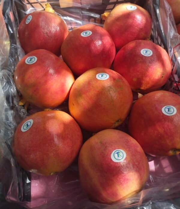 IMG-20250926-WA0004 Pomegranate