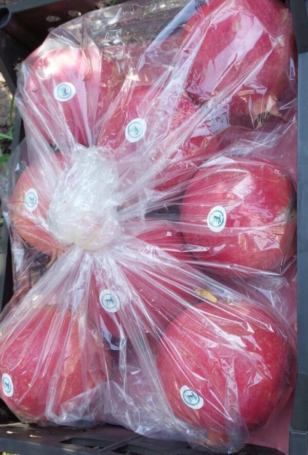 IMG-20250926-WA0009 Pomegranate